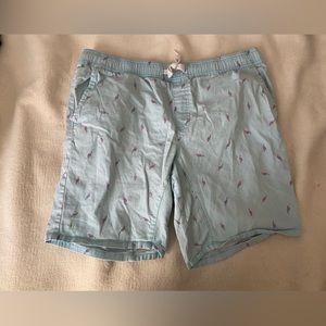 Blue Flat-Front Shorts